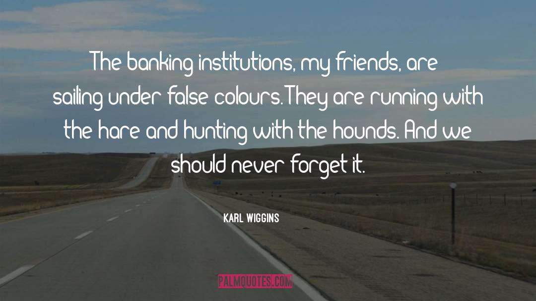 Karl Wiggins Quotes: The banking institutions, my friends,