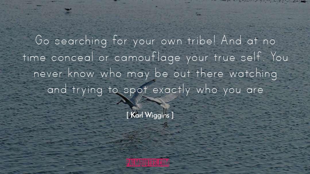 Karl Wiggins Quotes: Go searching for your own