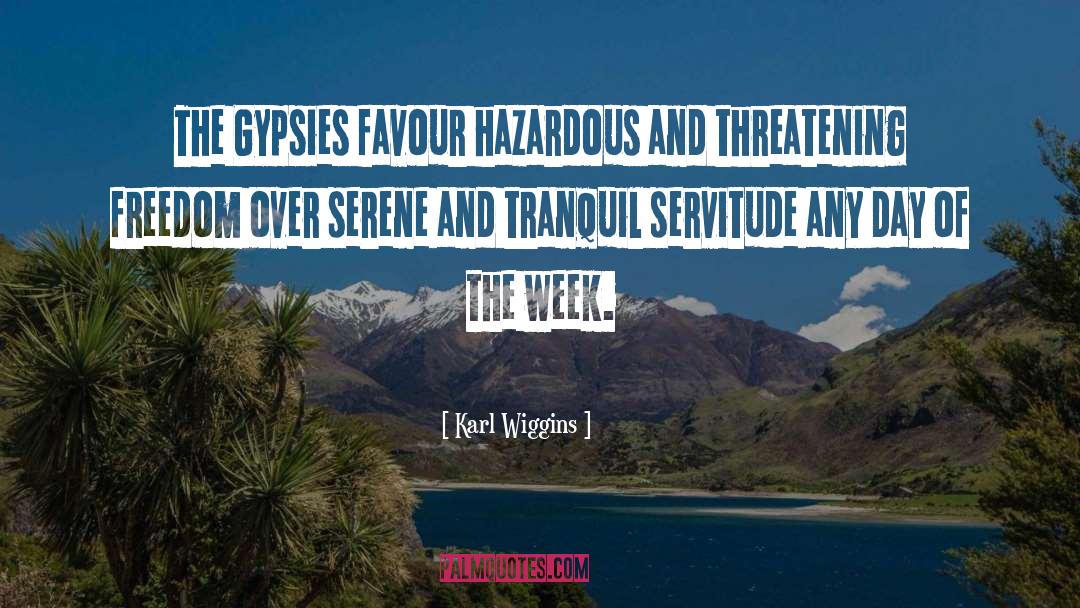 Karl Wiggins Quotes: The Gypsies favour hazardous and