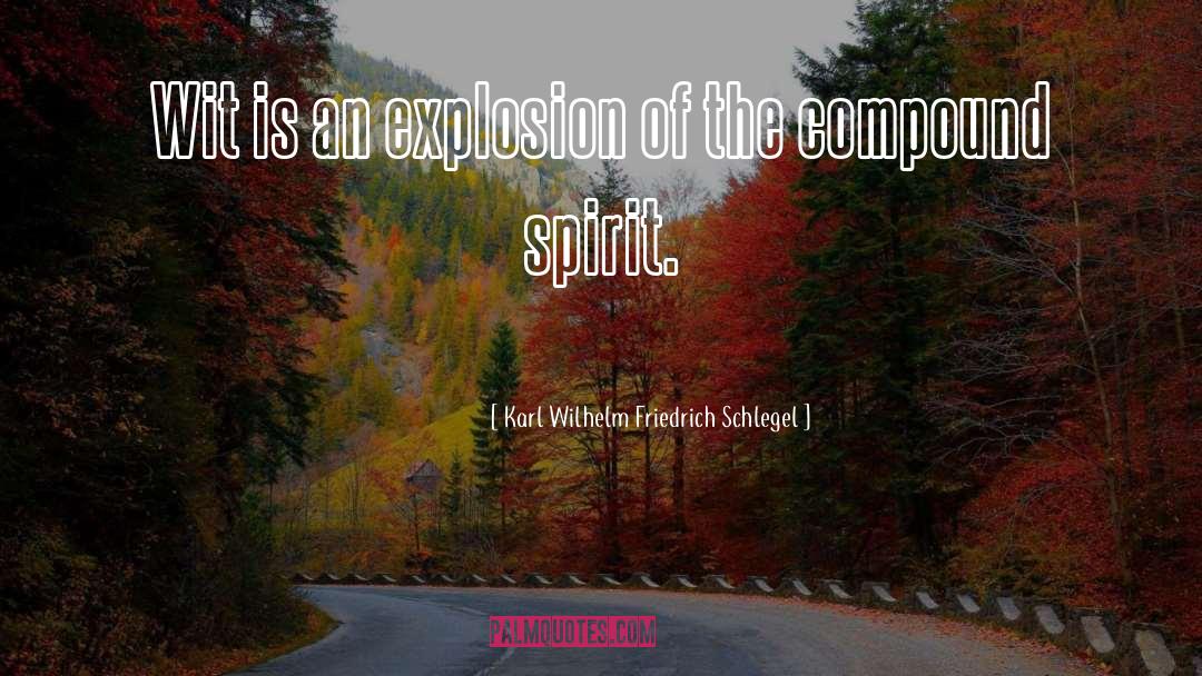 Karl Wilhelm Friedrich Schlegel Quotes: Wit is an explosion of