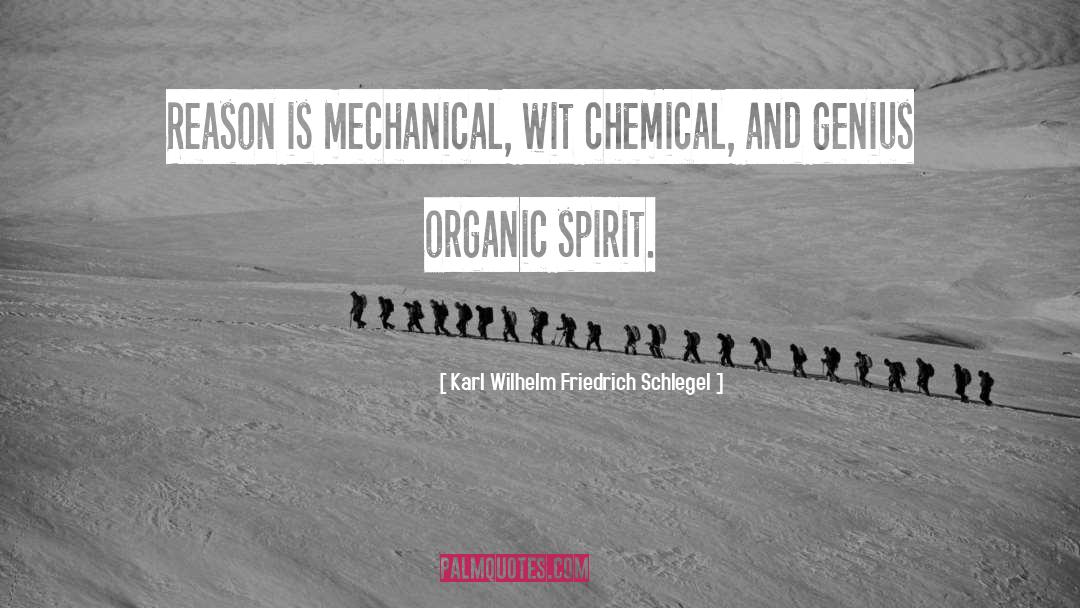 Karl Wilhelm Friedrich Schlegel Quotes: Reason is mechanical, wit chemical,