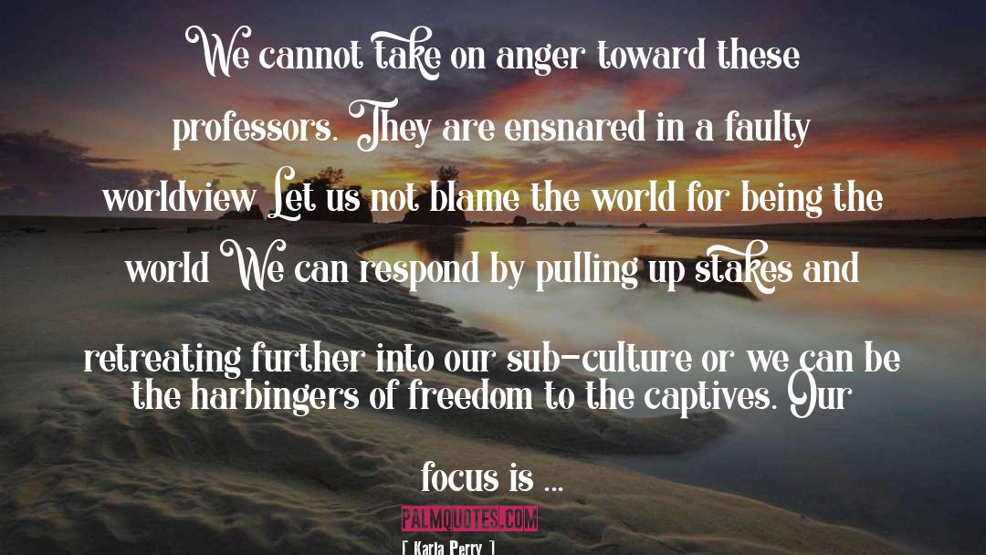 Karla Perry Quotes: We cannot take on anger