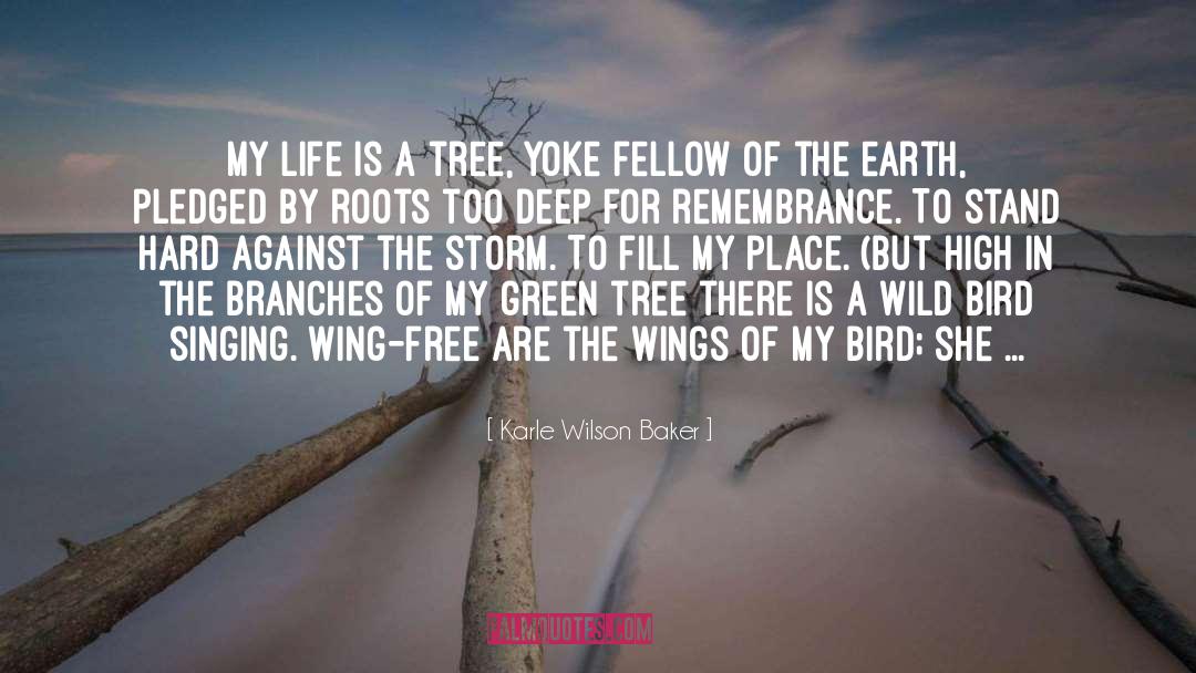 Karle Wilson Baker Quotes: My life is a tree,