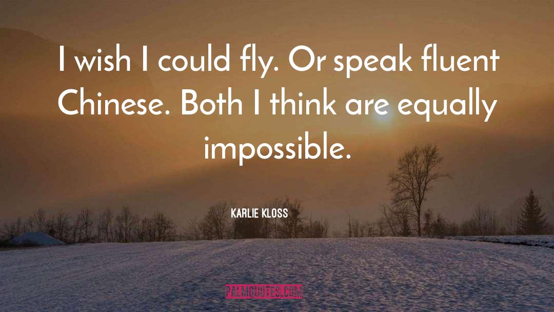 Karlie Kloss Quotes: I wish I could fly.