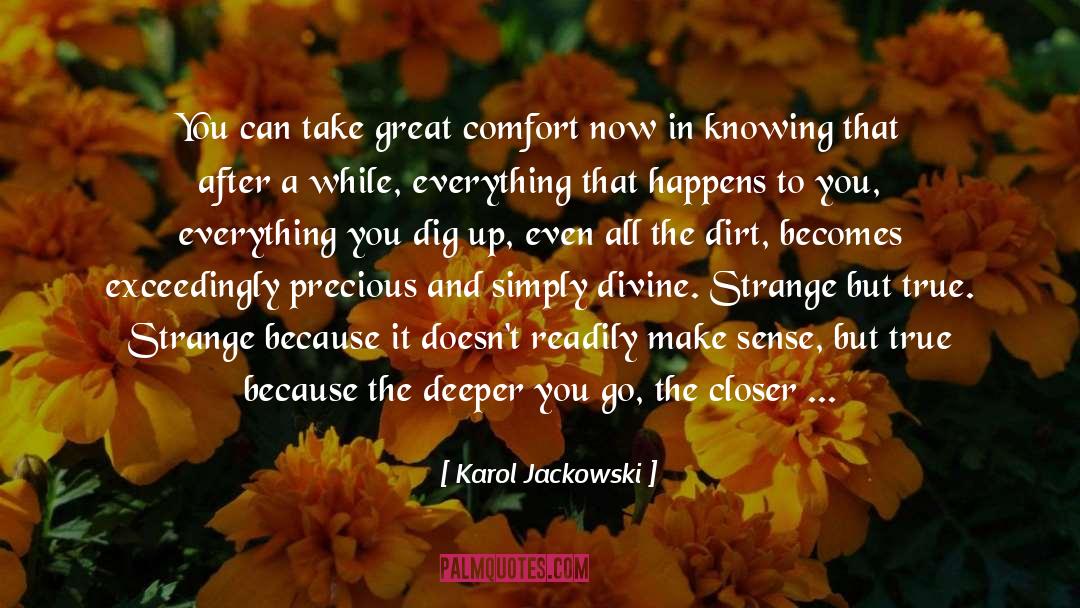 Karol Jackowski Quotes: You can take great comfort