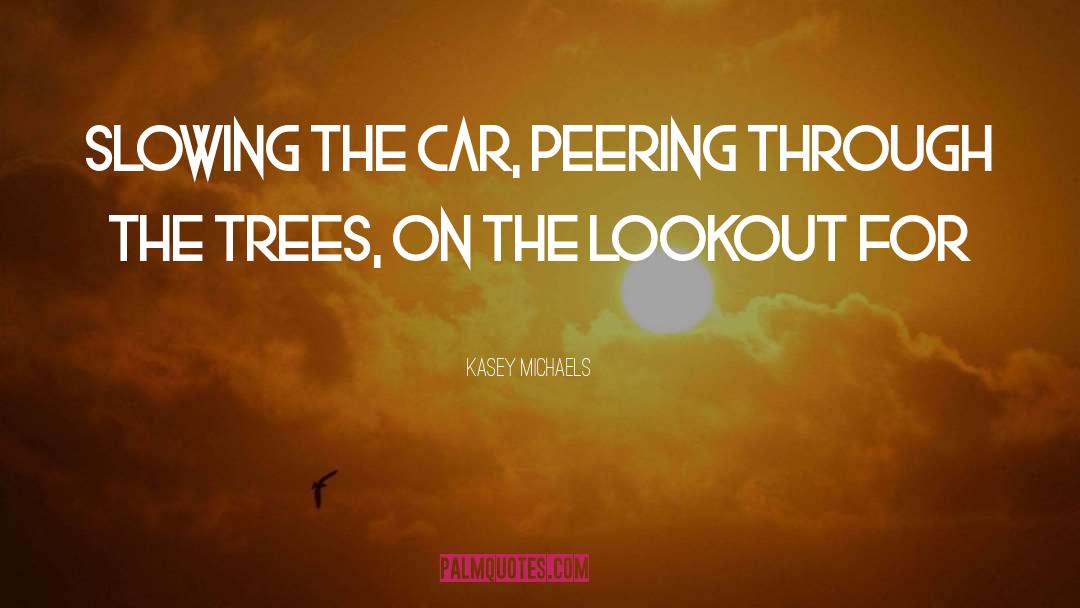 Kasey Michaels Quotes: Slowing the car, peering through