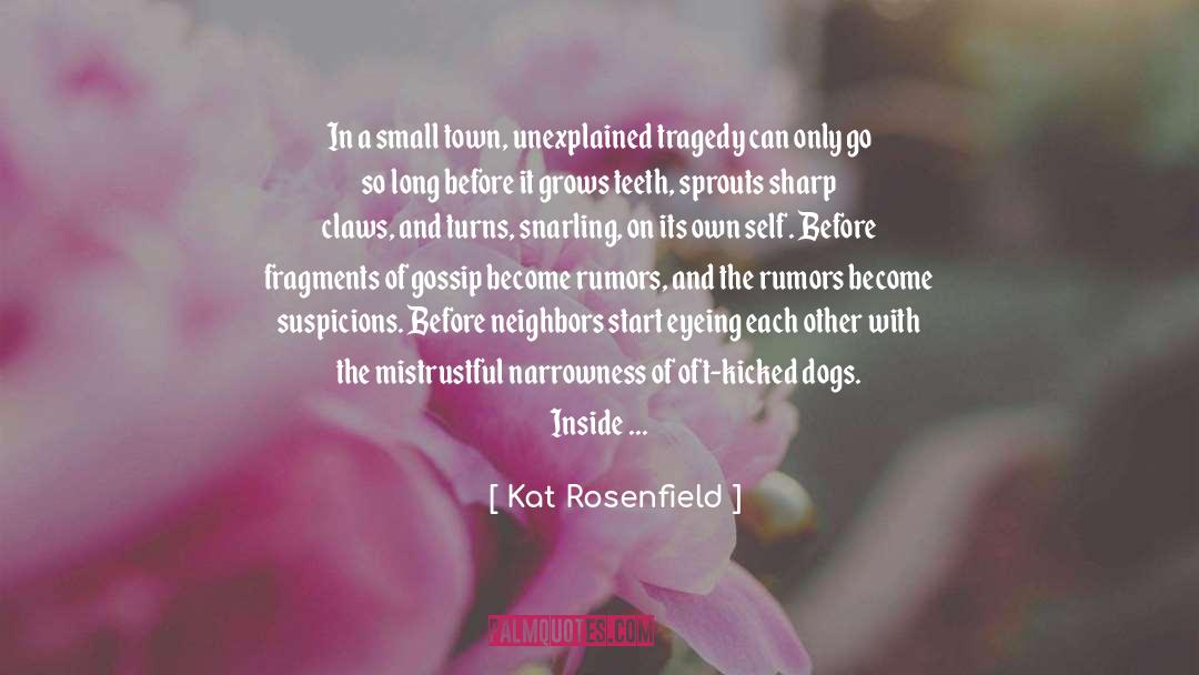 Kat Rosenfield Quotes: In a small town, unexplained