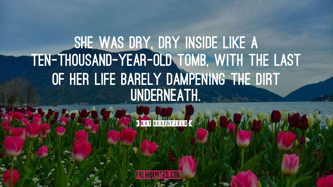Kat Rosenfield Quotes: She was dry, dry inside