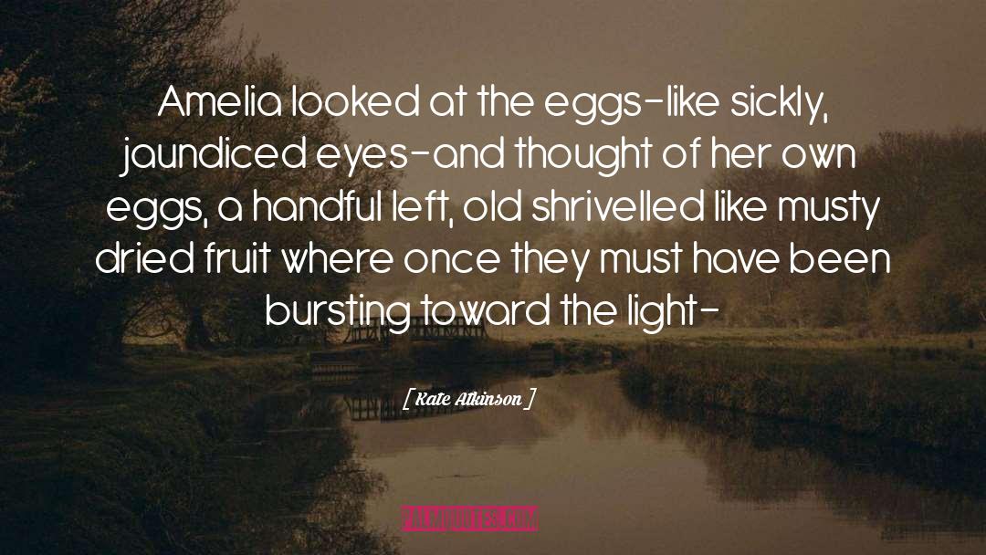 Kate Atkinson Quotes: Amelia looked at the eggs-like