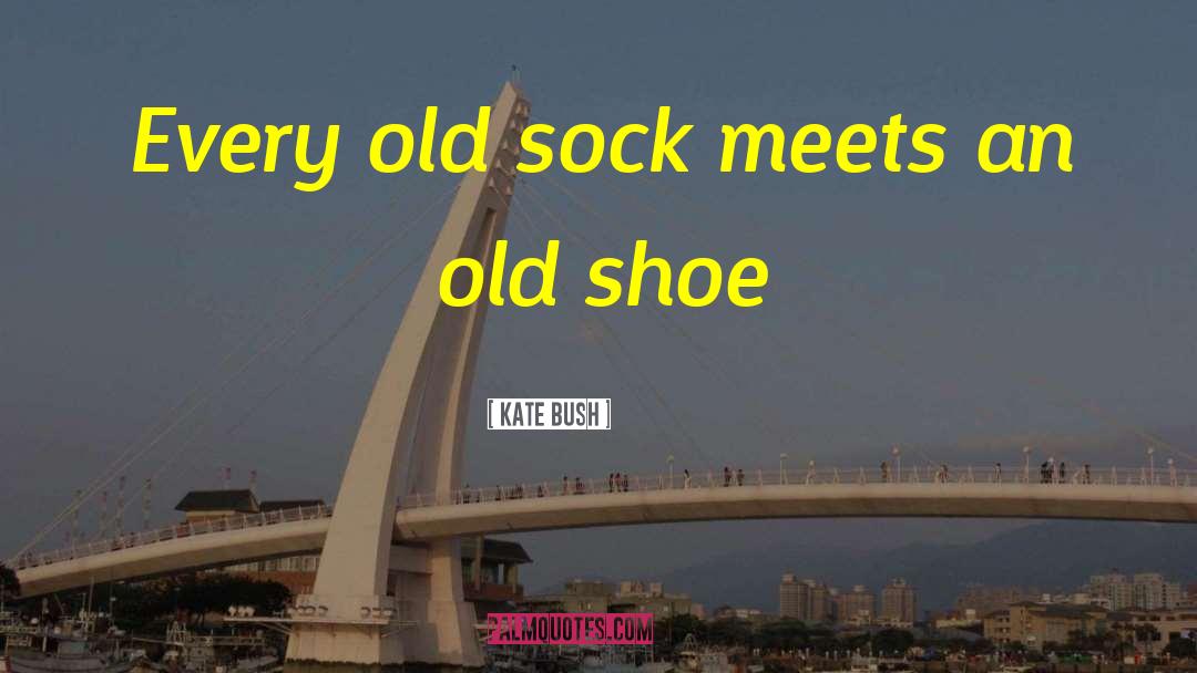 Kate Bush Quotes: Every old sock meets an