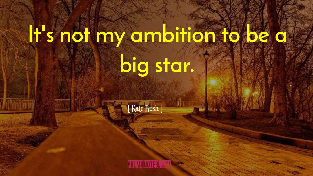 Kate Bush Quotes: It's not my ambition to