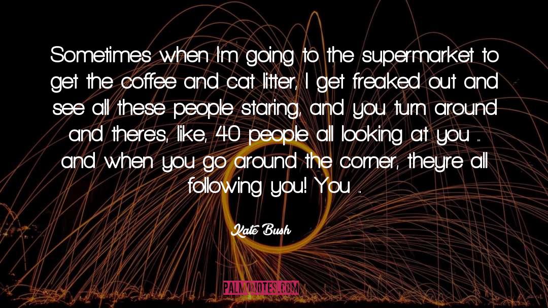 Kate Bush Quotes: Sometimes when I'm going to