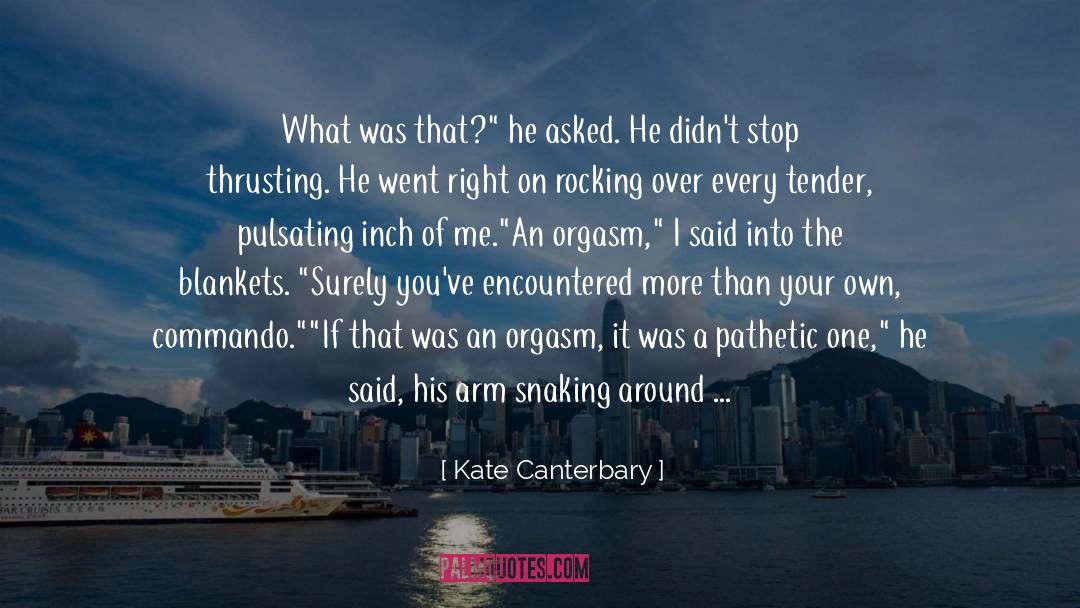 Kate Canterbary Quotes: What was that?