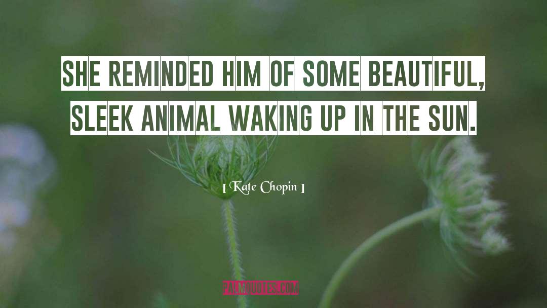 Kate Chopin Quotes: She reminded him of some