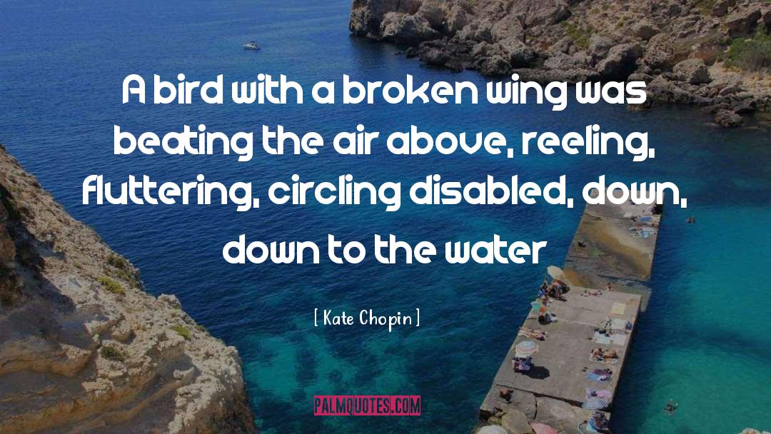 Kate Chopin Quotes: A bird with a broken