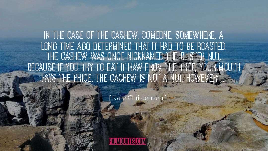 Kate Christensen Quotes: In the case of the