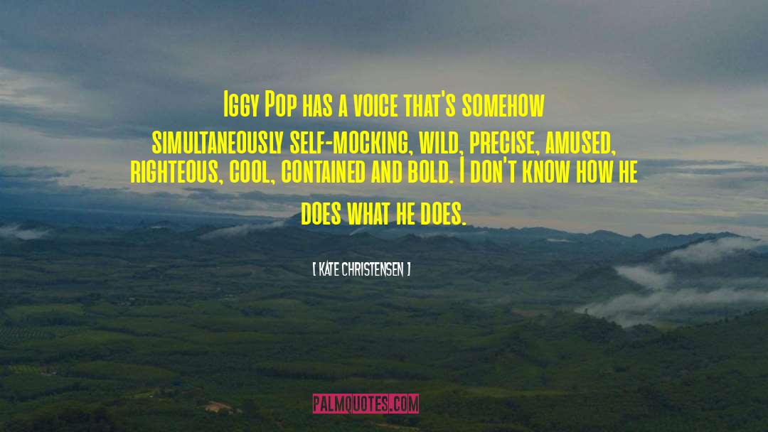 Kate Christensen Quotes: Iggy Pop has a voice