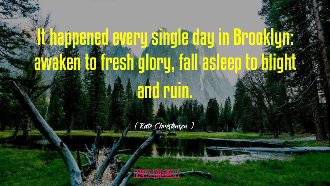 Kate Christensen Quotes: It happened every single day