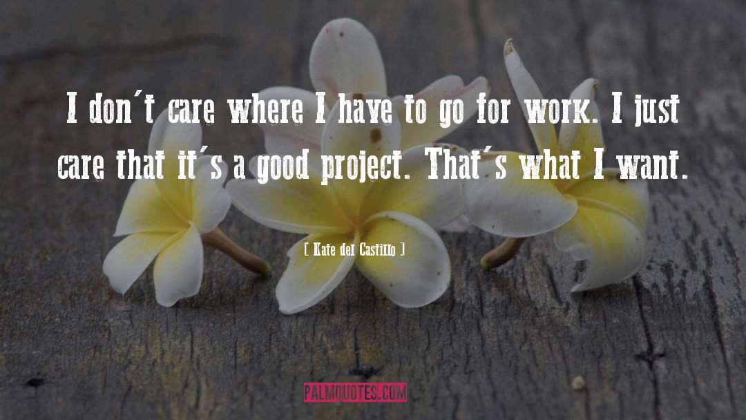 Kate Del Castillo Quotes: I don't care where I