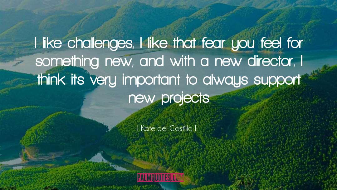 Kate Del Castillo Quotes: I like challenges, I like