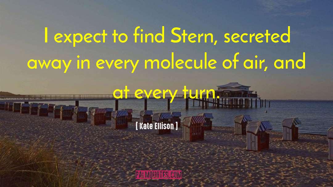 Kate Ellison Quotes: I expect to find Stern,