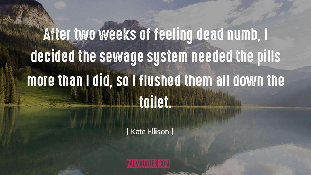 Kate Ellison Quotes: After two weeks of feeling