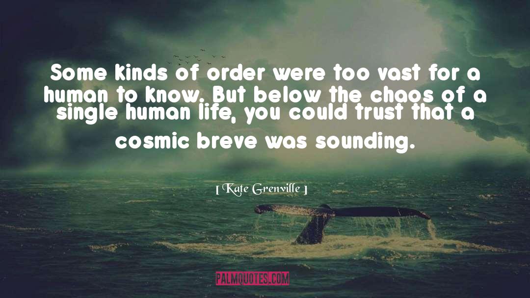 Kate Grenville Quotes: Some kinds of order were