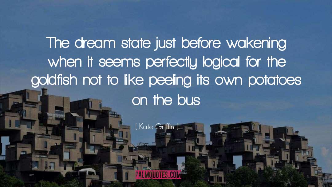 Kate Griffin Quotes: The dream state just before