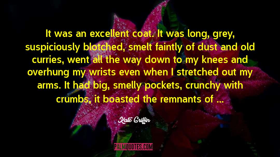 Kate Griffin Quotes: It was an excellent coat.