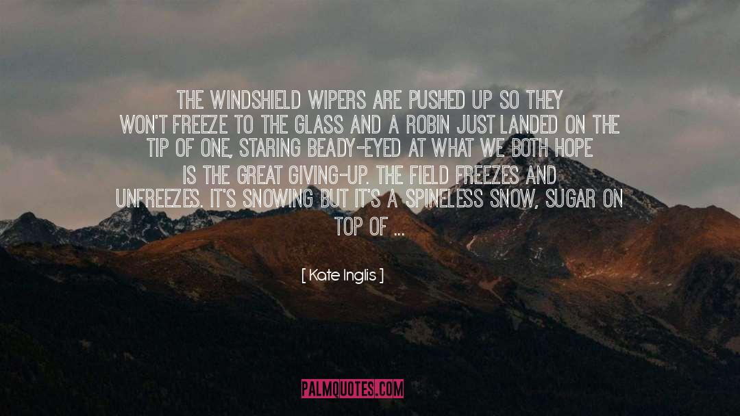 Kate Inglis Quotes: The windshield wipers are pushed