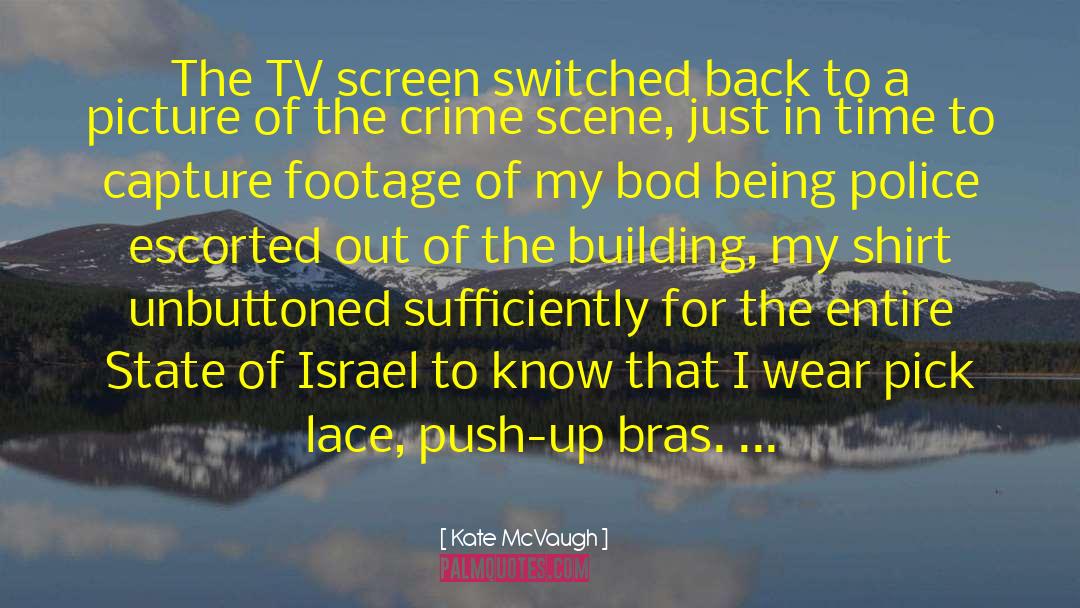 Kate McVaugh Quotes: The TV screen switched back