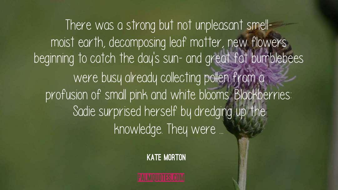 Kate Morton Quotes: There was a strong but