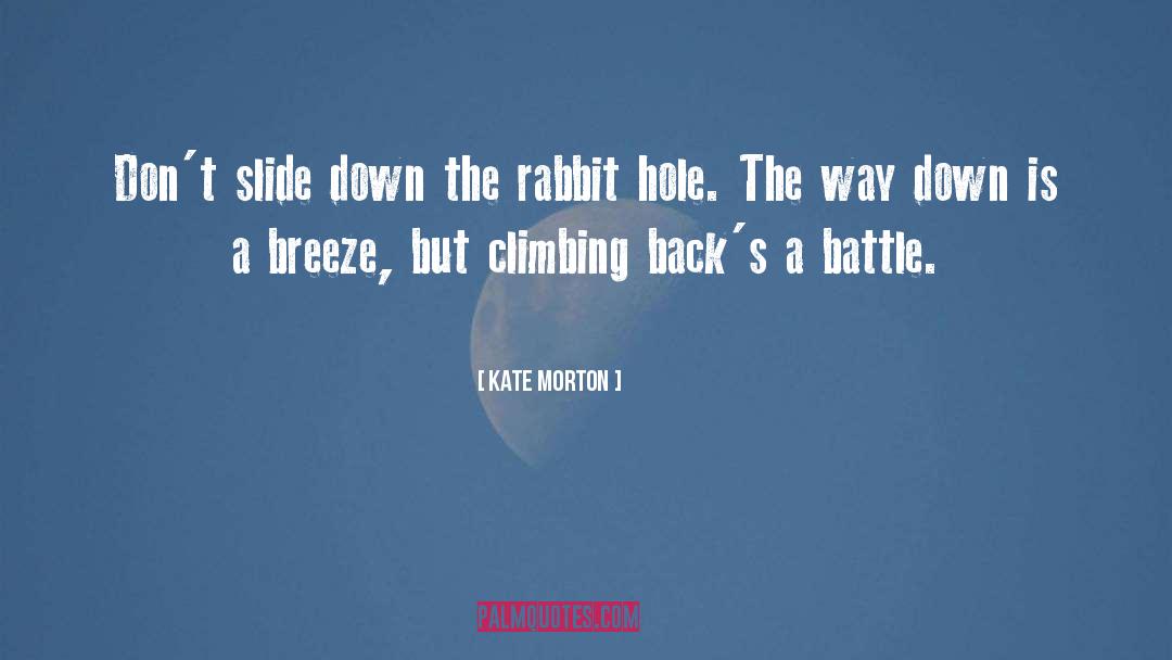Kate Morton Quotes: Don't slide down the rabbit