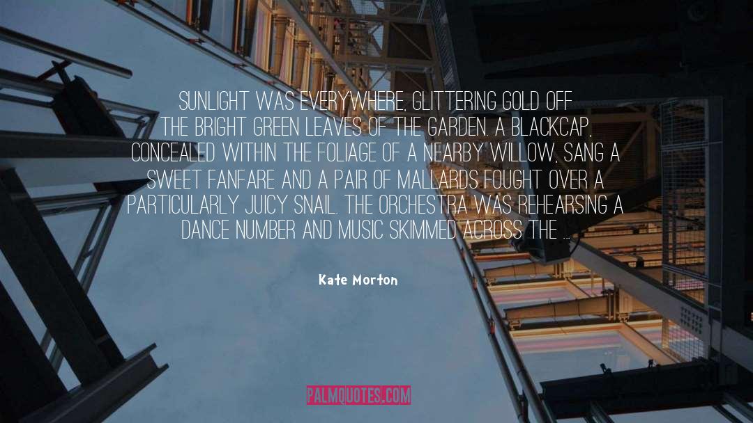 Kate Morton Quotes: Sunlight was everywhere, glittering gold