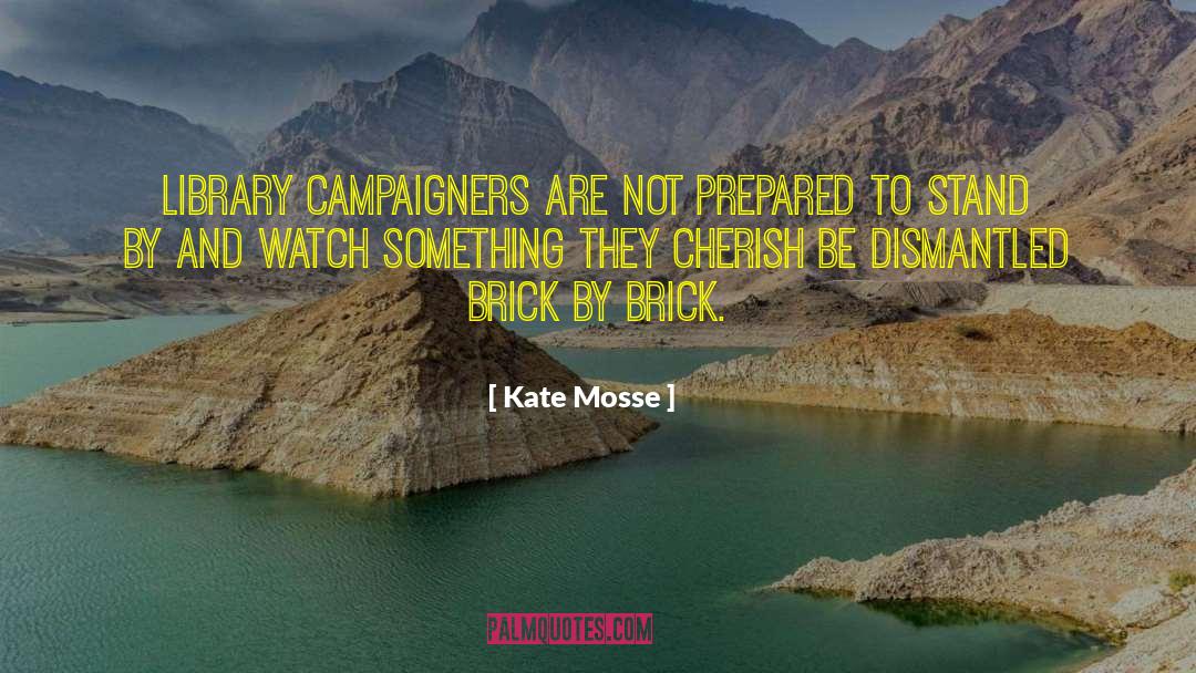 Kate Mosse Quotes: Library campaigners are not prepared
