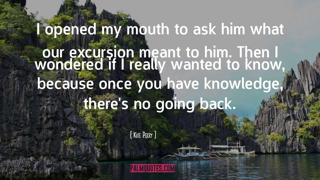 Kate Perry Quotes: I opened my mouth to