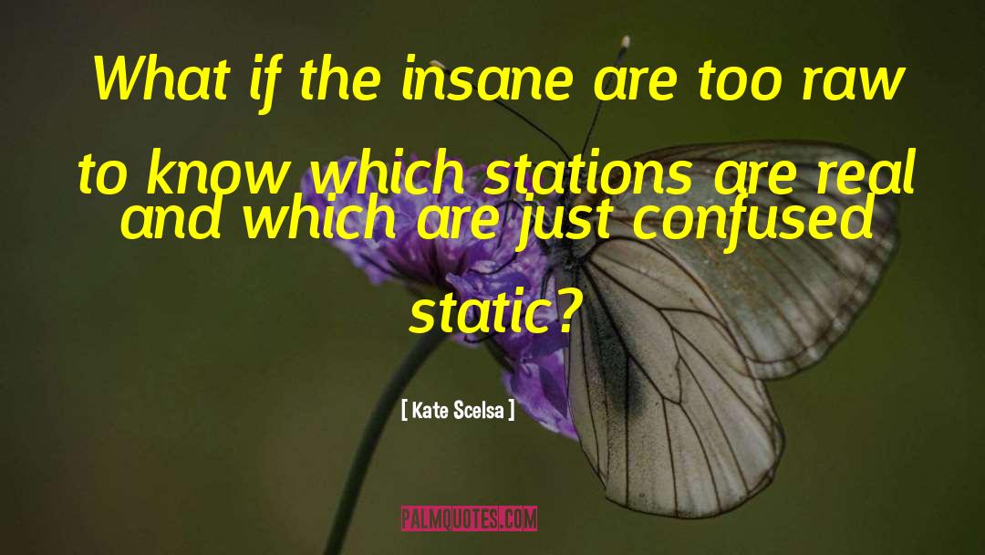 Kate Scelsa Quotes: What if the insane are