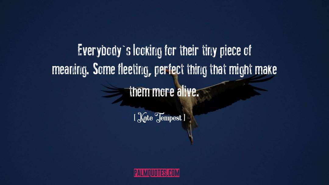 Kate Tempest Quotes: Everybody's looking for their tiny