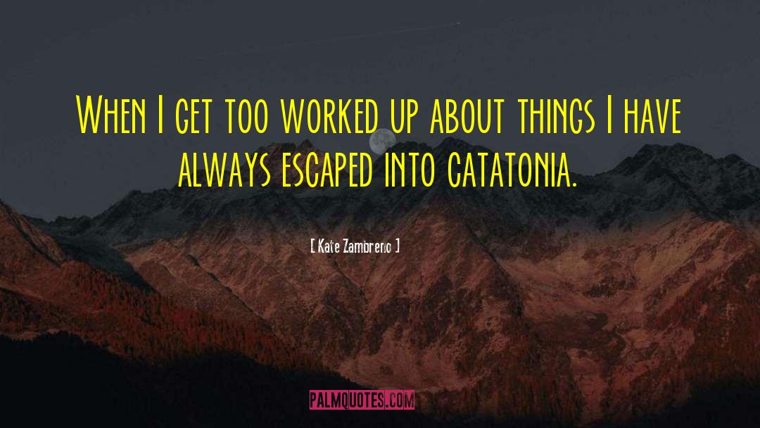 Kate Zambreno Quotes: When I get too worked
