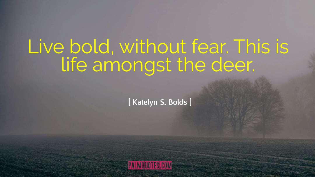 Katelyn S. Bolds Quotes: Live bold, without fear. This