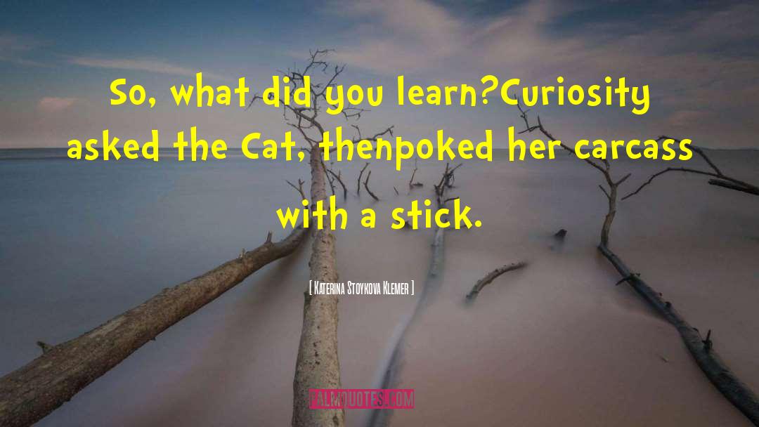 Katerina Stoykova Klemer Quotes: So, what did you learn?<br>Curiosity