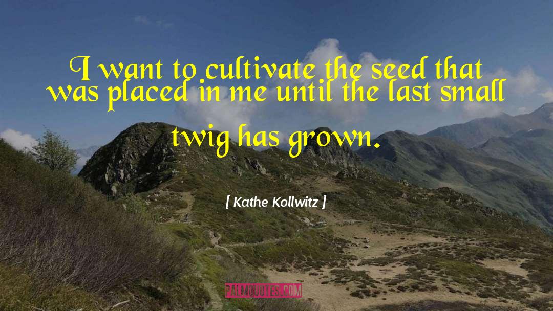 Kathe Kollwitz Quotes: I want to cultivate the