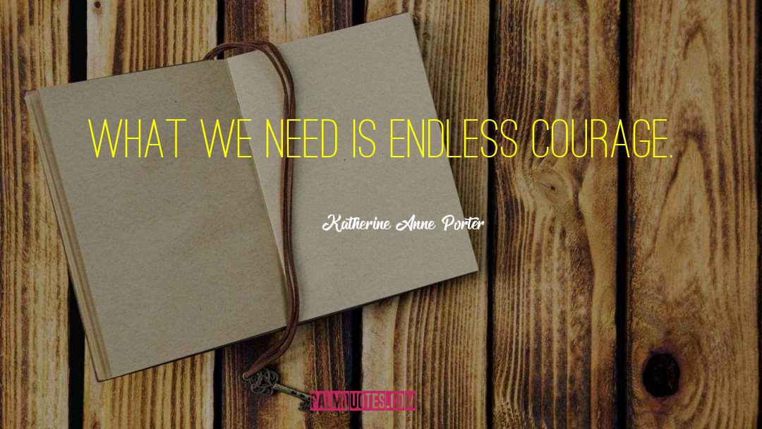 Katherine Anne Porter Quotes: What we need is endless