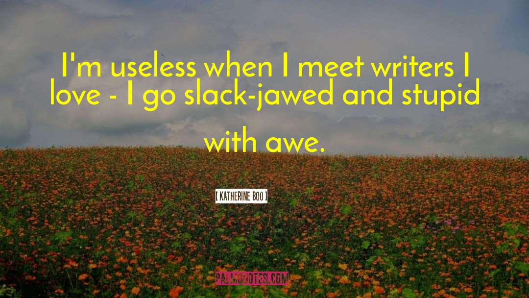 Katherine Boo Quotes: I'm useless when I meet
