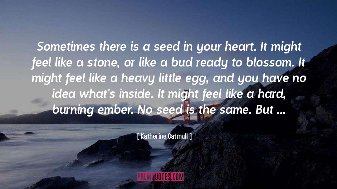 Katherine Catmull Quotes: Sometimes there is a seed