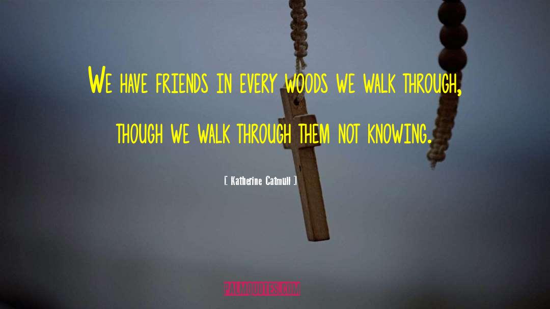 Katherine Catmull Quotes: We have friends in every