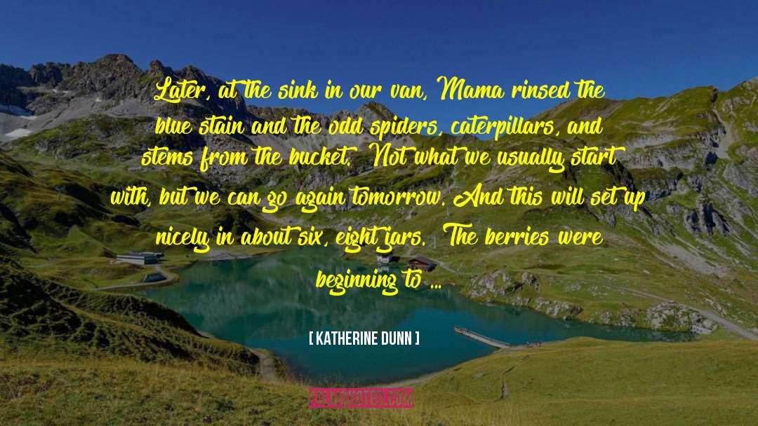 Katherine Dunn Quotes: Later, at the sink in