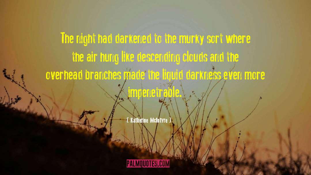 Katherine McIntyre Quotes: The night had darkened to