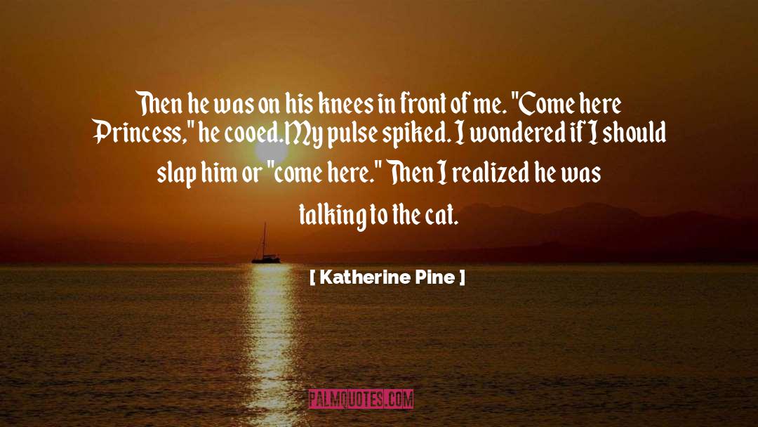 Katherine Pine Quotes: Then he was on his