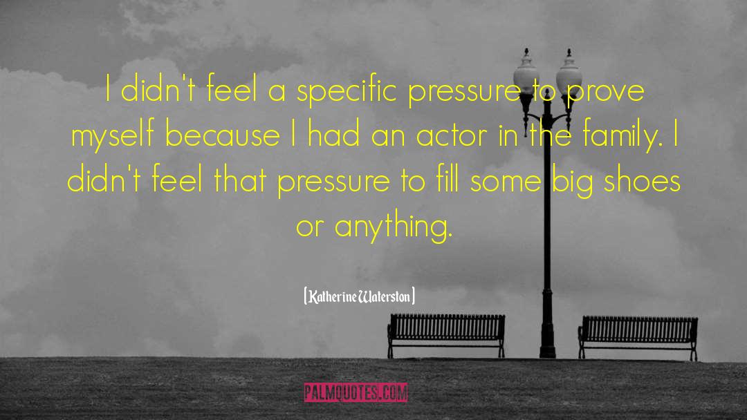 Katherine Waterston Quotes: I didn't feel a specific